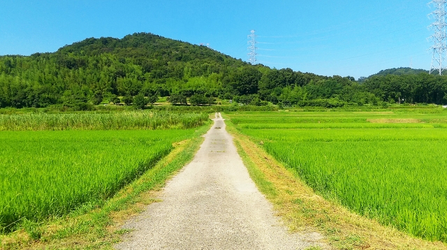 田舎